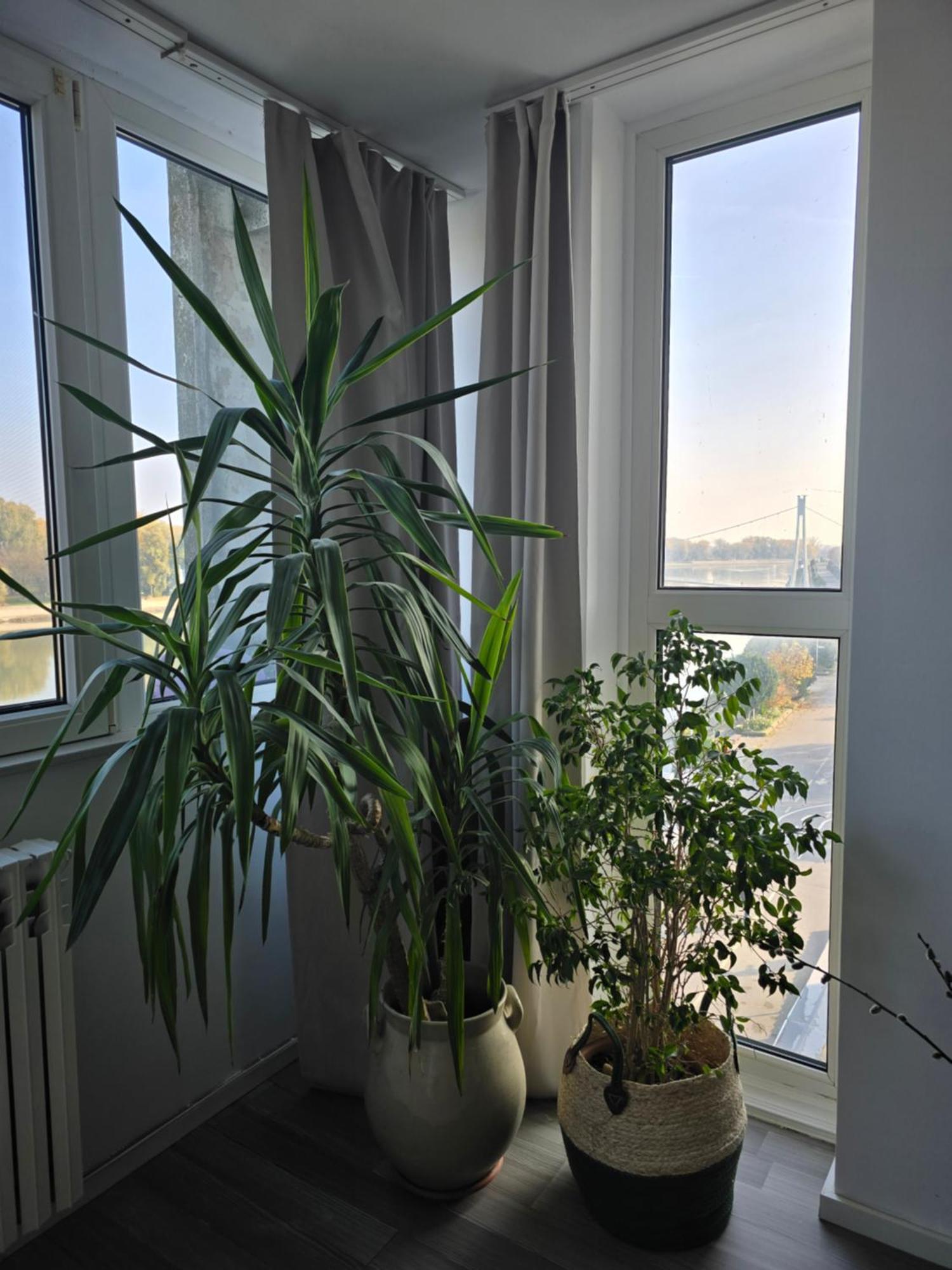 Riverview Apartment Osijek Exteriör bild